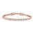 Rose-Gold-Plated-with-Cubic-Zirconia-Bracelets,-Silver-Tennis-AAA-CZ-Bracelet-for-Bridal-Wedding-Evening-Party-Bling-Jewelry-for-Woman-Rose Gold
