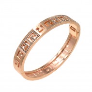 Rose Gold Plated with Crystals Hinged Bangle Bracelet with Women