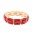 Gold-BQ8135-GDRD