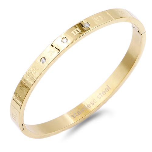 Gold Plated Stainless Steel Bangle with CZ