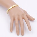 Gold Plated Stainless Steel Bangle with CZ