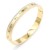 Gold-Plated-Stainless-Steel-Bangle-with-CZ-Gold