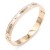 Rose-Gold-Plated-Stainless-Steel-Bangle-with-CZ-Rose Gold