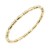 Gold-Plated-Stainless-Steel-Bangle-Bracelet.-Oval-6CM-Diameter-Gold