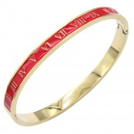 Gold Plated Stainless Steel Red Color Hinged Bangle Bracelets. 6mm Width