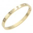 Rose Gold Plated Stainless Steel Hinged Bangle Bracelets