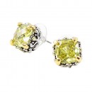 2-Tones with Clear Cubic Zirconia Earrings