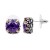 2-Tones-with-Purple-Cubic-Zirconia-Earrings-Purple