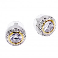 2-Tones Plated Earrings with Clear CZ