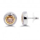 2-Tones Plated Earrings with Clear CZ