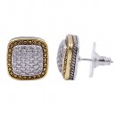 Two-tone Plated with Cubic Zirconia Earrings