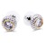 Two-Tone-Plated--Clear-CZ-Earrings-Clear cz