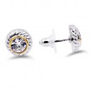Two-Tone Plated  Clear CZ Earrings