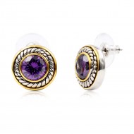 2 Tone Plated With Purple CZ Earrings