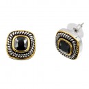 2 Tone Plated With Topaz CZ Earrings
