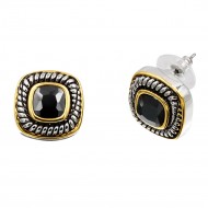 2 Tone Plated With Black CZ Earrings