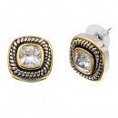 2 Tone Plated With Clear CZ Earrings
