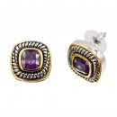2 Tone Plated With Purple CZ Earrings