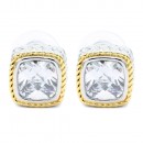 Two-Tone earrings With Clear CZ