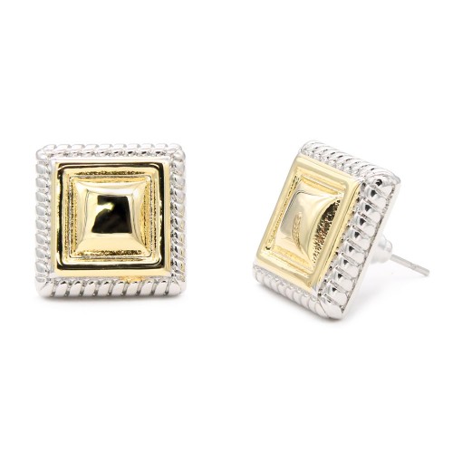 2-Tones Plated  Earrings