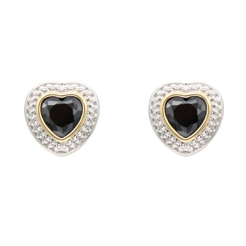 2-Tones with Black Cubic Zirconia Earrings