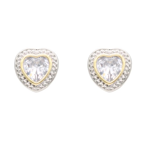 2-Tones with Clear Cubic Zirconia Earrings