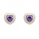 2-Tones with Clear Cubic Zirconia Earrings