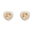 2-Tones with Clear Cubic Zirconia Earrings