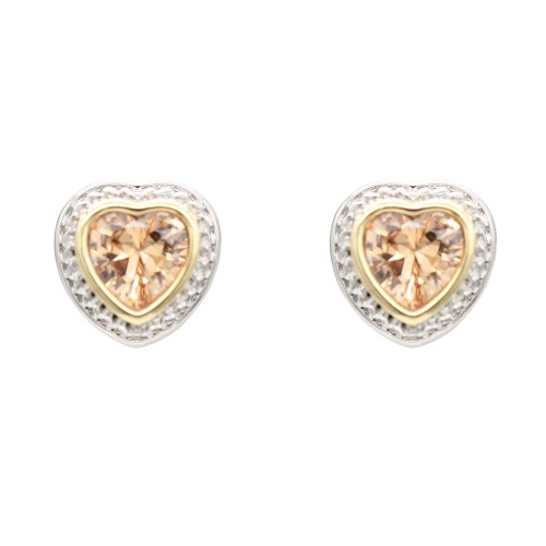 2-Tones with Topaz Cubic Zirconia Earrings