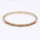 Gold Plated With Clear CZ Bangle