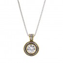 Two-Tones Plated Necklaces with Aqua CZ