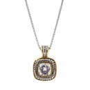 2 Tone Plated With Clear CZ Necklaces
