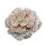 3-Tone-Plated-With-3-Layers-Rose-Stretch-Rings-3 Tones