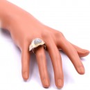 Three Tone Plated With CZ Cubic Zirconia Leaf-Shaped Pave Sized Ring