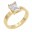 Gold-Clear-RT5119-GDCL